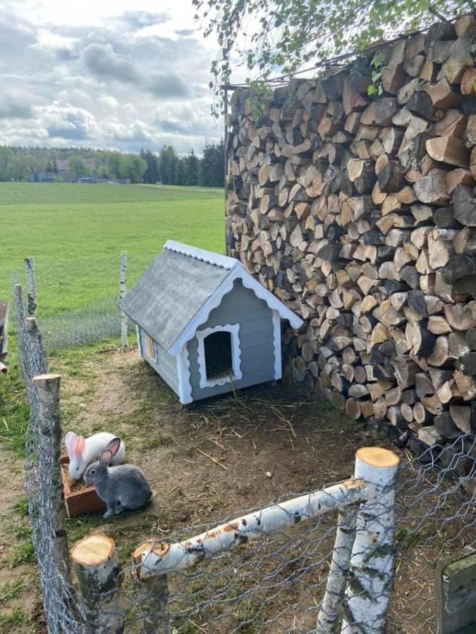 Domek Na Uboczu Gryfów Śląski エクステリア 写真